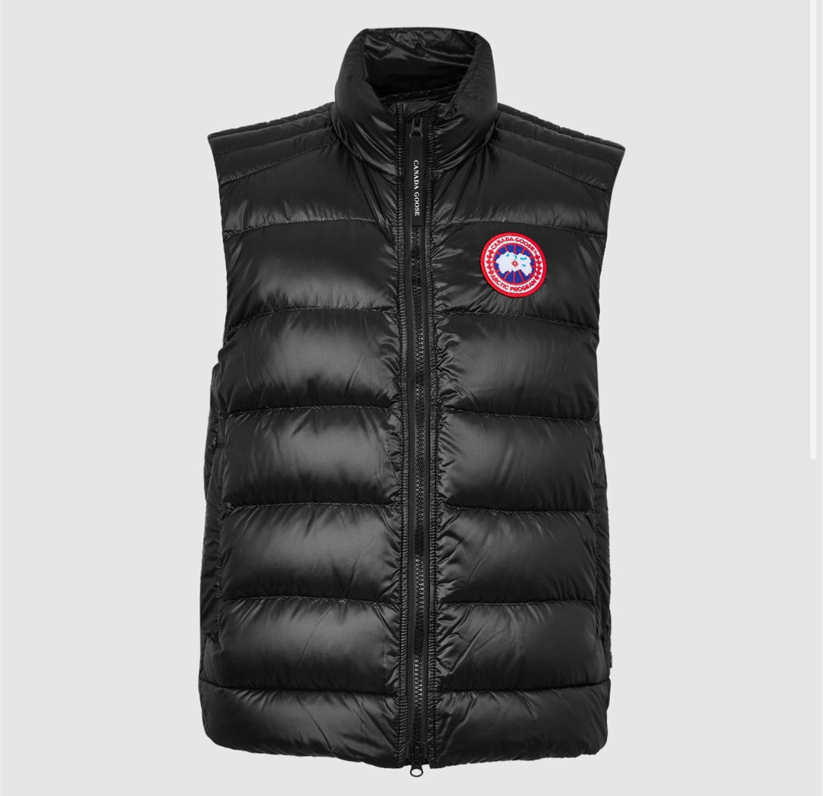 Canada goose crofton